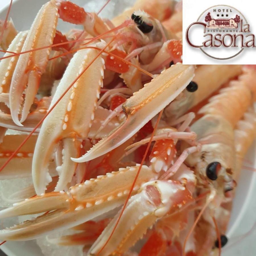 Hotel Ristorante La Casona Фельтре Экстерьер фото